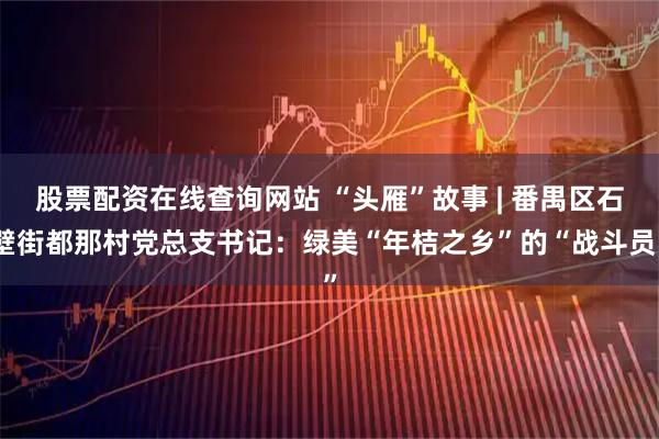 股票配资在线查询网站 “头雁”故事 | 番禺区石壁街都那村党总支书记：绿美“年桔之乡”的“战斗员”
