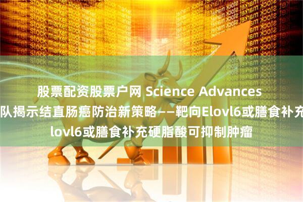股票配资股票户网 Science Advances |南京大学华子春团队揭示结直肠癌防治新策略——靶向Elovl6或膳食补充硬脂酸可抑制肿瘤